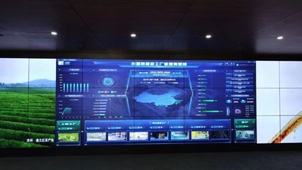 3000億大市場呼喚大數(shù)據(jù)服務(wù)超級(jí)品牌